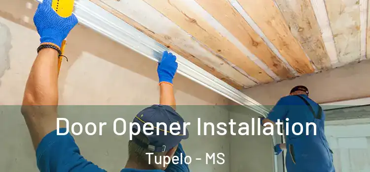  Door Opener Installation Tupelo - MS