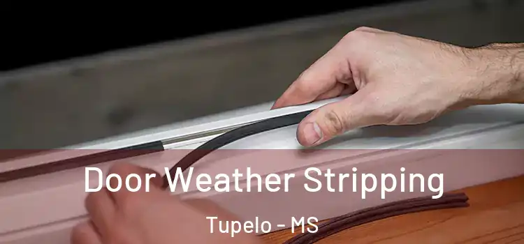 Door Weather Stripping Tupelo - MS