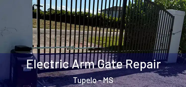 Electric Arm Gate Repair Tupelo - MS