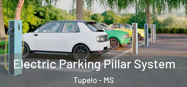  Electric Parking Pillar System Tupelo - MS
