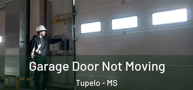  Garage Door Not Moving Tupelo - MS