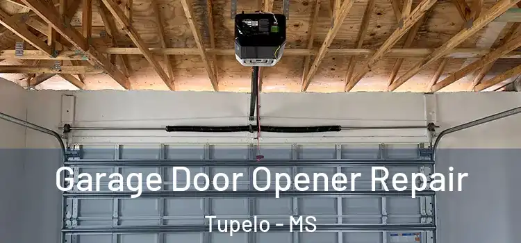  Garage Door Opener Repair Tupelo - MS