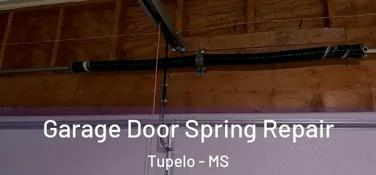  Garage Door Spring Repair Tupelo - MS