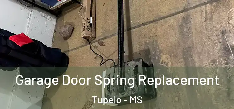 Garage Door Spring Replacement Tupelo - MS