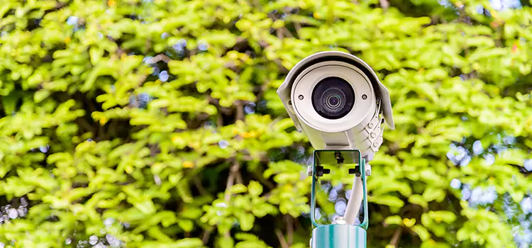 Advanced Surveillance Solutions for Every Need in Tupelo