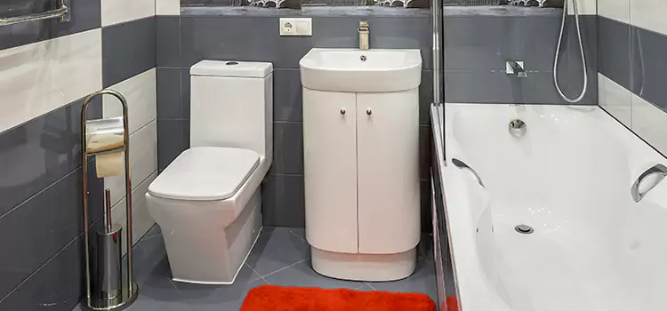 Hansgrohe Shaving Mirror Tupelo