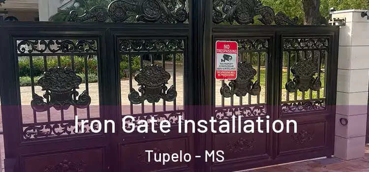Iron Gate Installation Tupelo - MS