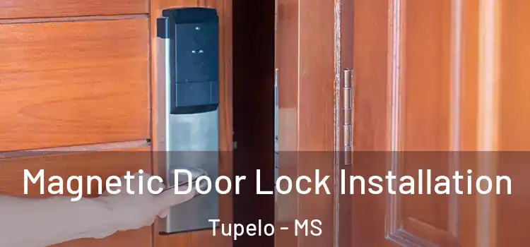  Magnetic Door Lock Installation Tupelo - MS